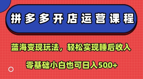 拼多多开店运营课程:蓝海变现玩法,轻松实现睡后收入,零基础小白也可日入5张-羽哥创业课堂
