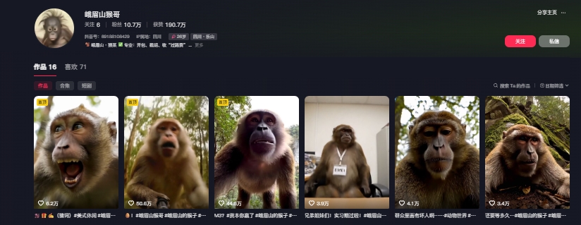 最新爆火的峨眉山猴子短视频制作教程，条条点赞10w+，谁做谁火【教程+提示词】-羽哥创业课堂