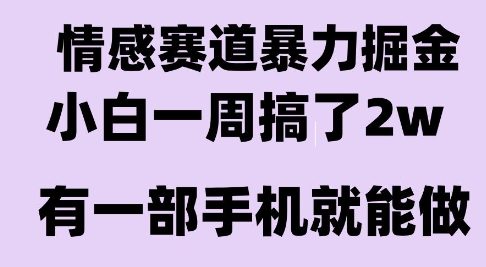 情感暴力掘金项目，新人操作一周挣了2W，长期稳定小白可做【揭秘】-羽哥创业课堂