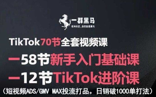 TikTok全套视频课，新手入门+进阶课，短视频ADS-GMV MAX投流打品，日销破1000单打法-羽哥创业课堂