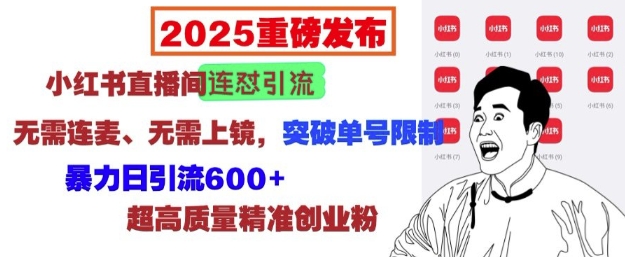 2025重磅发布：小红书直播间连怼引流，无需连麦、无需上镜，突破单号限制，暴力日引流600+-羽哥创业课堂