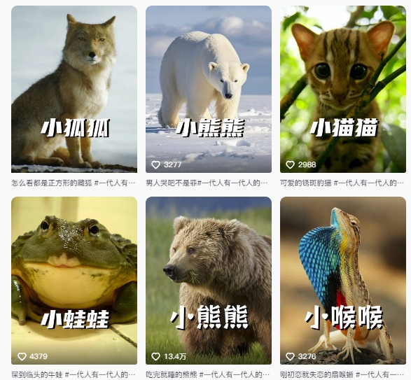 最新搞笑动物百科详细解说课程，蓝海赛道，流量非常大，轻松签独家进精选-羽哥创业课堂