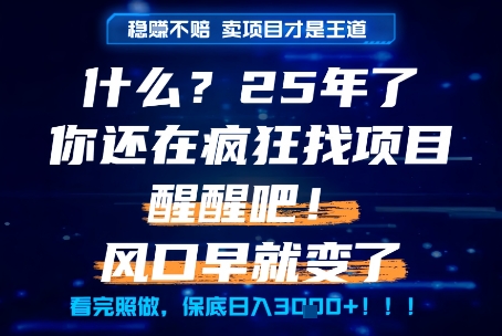 什么?25年你还在疯狂找项目做,醒醒吧,看完这些你全都懂了!【揭秘】-羽哥创业课堂