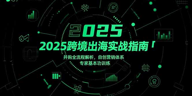 2025跨境出海实战指南，并购全流程解析，自创营销体系，专家基本功训练-羽哥创业课堂