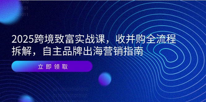 2025跨境致富实战课，收并购全流程拆解，自主品牌出海营销指南-羽哥创业课堂