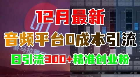 12月最新：音频平台0成本引流，日引流300+精准创业粉-羽哥创业课堂