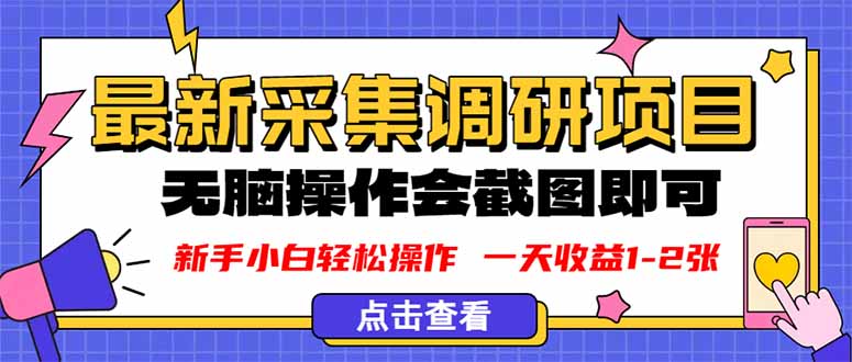 新版采集调研项目,截图上传即可,无脑操作,日收益1-2张-羽哥创业课堂