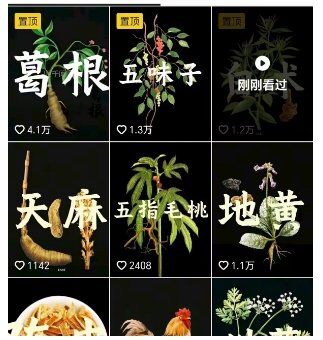 抖音中草药赛道，用AI做中草药故事视频，45条作品涨粉13W，橱窗带货猛猛出单-羽哥创业课堂