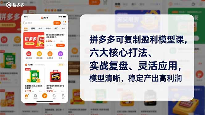 拼多多可复制盈利模型课，六大核心打法、实战复盘、灵活应用，模型清晰，稳定产出高利润-羽哥创业课堂