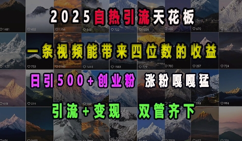 2025自热引流天花板，一条视频能带来四位数的收益，引流+变现双管齐下，日引500+创业粉，涨粉嘎嘎猛-羽哥创业课堂