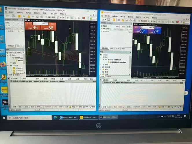 美金对冲创业项目，日收益1000-3000，小众暴力项目稳定运行8年-羽哥创业课堂