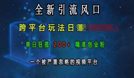 全新引流风口，跨平台玩法日入上k，单日狂揽200+精准创业粉，一个被严重忽略的视频平台-羽哥创业课堂