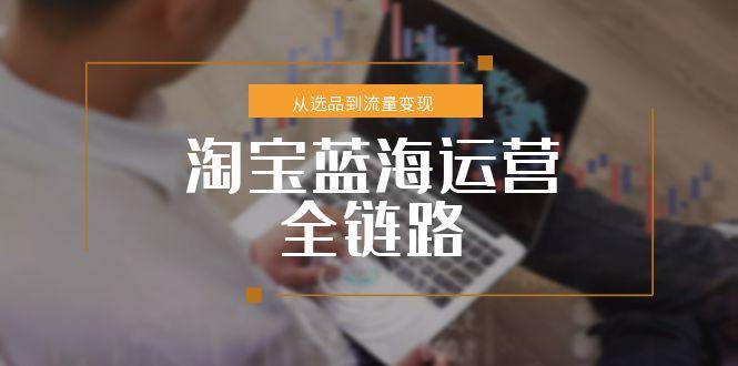 淘宝蓝海运营全链路,从选品到流量变现,小类目突围完整方案-羽哥创业课堂
