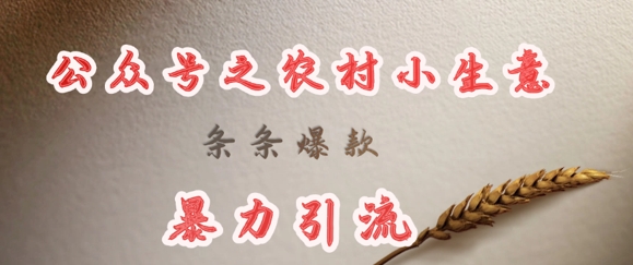 deepseek写农村小项目，条条爆款，暴力引流-羽哥创业课堂