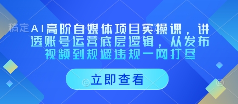 AI高阶自媒体项目实操课,讲透账号运营底层逻辑,从发布视频到规避违规一网打尽-羽哥创业课堂