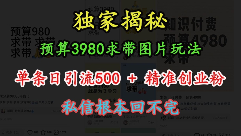 预算3980求带 图片玩法，单条日引流500+精准创业粉，私信根本回不完-羽哥创业课堂