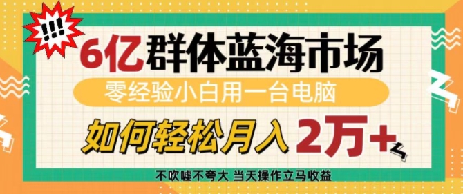 6亿群体蓝海市场，零经验小白用一台电脑，如何轻松月入过w【揭秘】-羽哥创业课堂