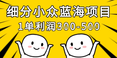 细分小众蓝海项目，一单利润3张，每月收入稳定过1w+-羽哥创业课堂