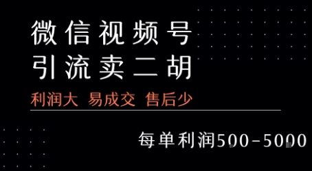 视频号卖二胡教程，利润大 易成交 售后少，一单利润5张+-羽哥创业课堂