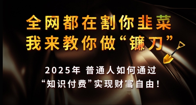 全网都在割你韭菜，我来教你做镰刀，2025年普通人如何通过 知识付费 实现财F自由【揭秘】-羽哥创业课堂