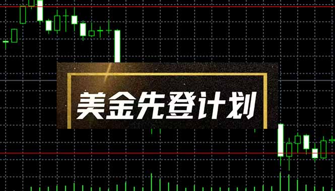 美金先登计划(2025黑马项目-羽哥创业课堂