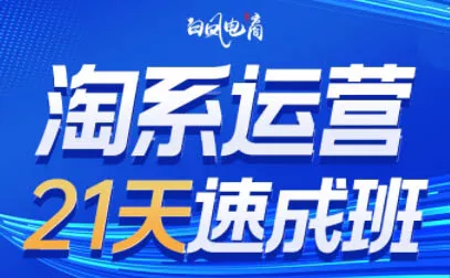 白凤电商·淘系运营21天速成班(更新10月)-羽哥创业课堂