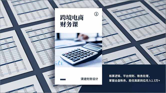 跨境电商财务课,核算逻辑、平台规则、账务处理,掌握全盘账务,胜任高薪岗位月入1.5万+-羽哥创业课堂