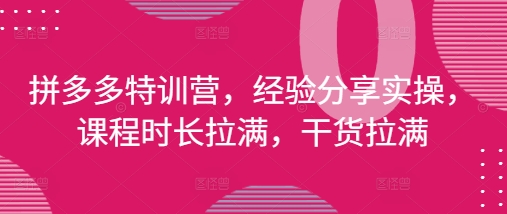 拼多多特训营，经验分享实操，课程时长拉满，干货拉满(更新25年4月)-羽哥创业课堂