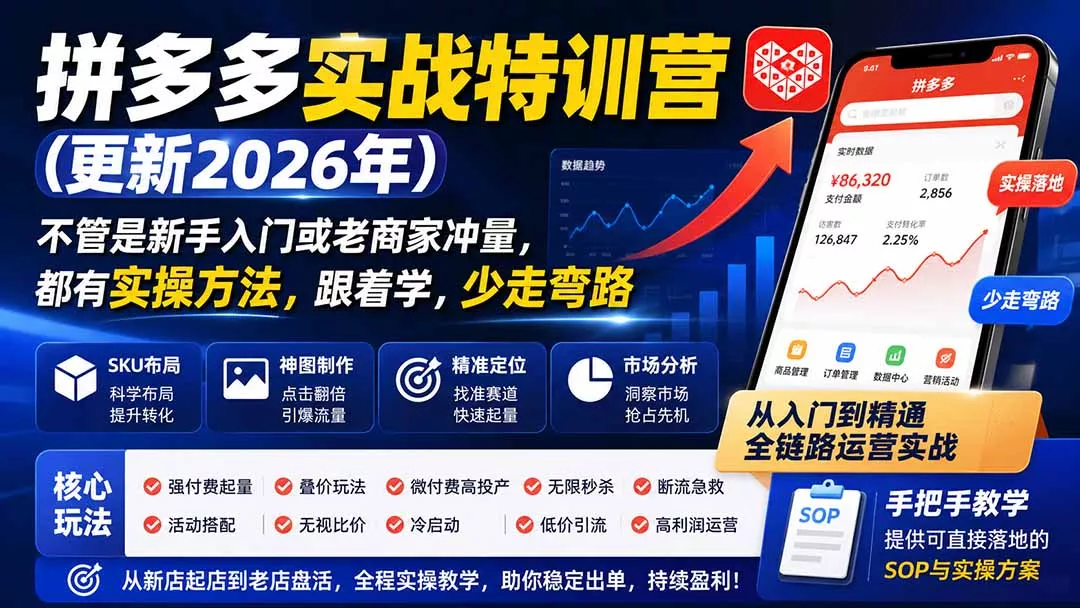 拼多多实战特训营(更新26年0821-羽哥创业课堂