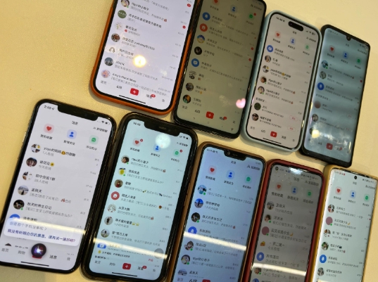 首发揭秘小红书私域日引500+创业粉四大模板,月入过W+全程干货!没有废话!保姆教程!-羽哥创业课堂