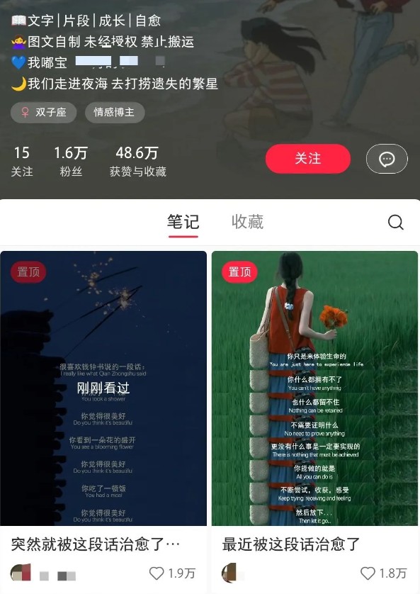 小红书治愈文案图文笔记,零门槛,一分钟制作轻松制作爆款作品月入万元-羽哥创业课堂