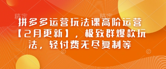 拼多多运营玩法课高阶运营【2月更新】,极致群爆款玩法,轻付费无尽复制等-羽哥创业课堂
