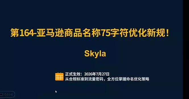 亚马逊跨境实战课：全品类选品逻辑｜SP/SB/SD广告精细化｜新品打爆旺季爆单全套运营教程-羽哥创业课堂