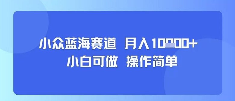 小众蓝海赛道，小白可做，操作简单，每天30分钟，月入1W+-羽哥创业课堂