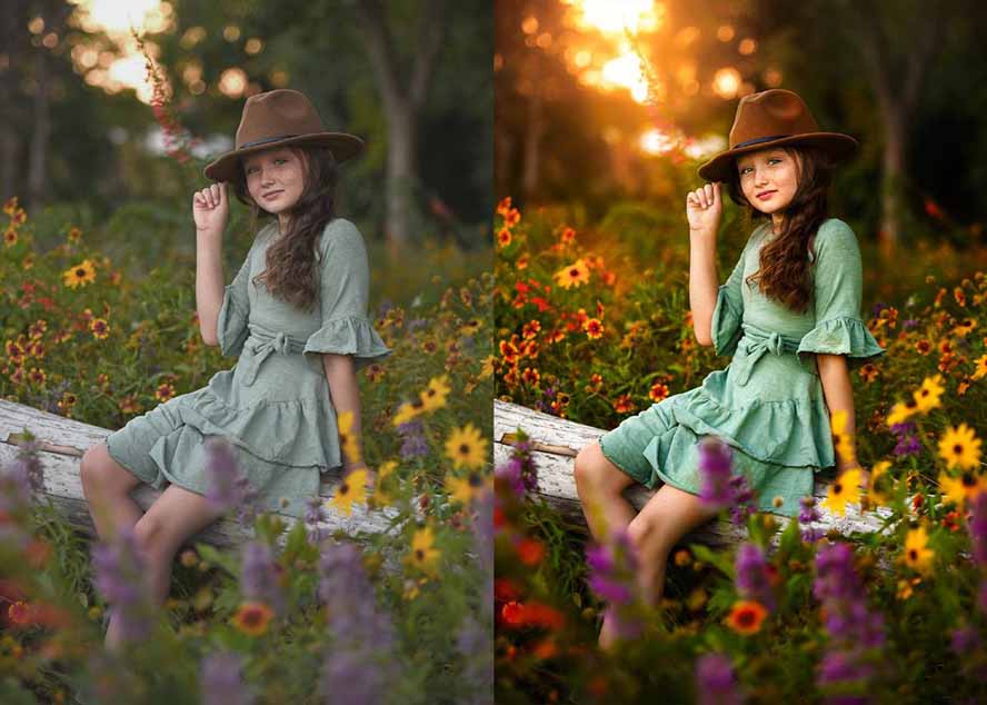 大师级GTG出品-老友记系列AI自适应预设The Friends Preset Collection-羽哥创业课堂