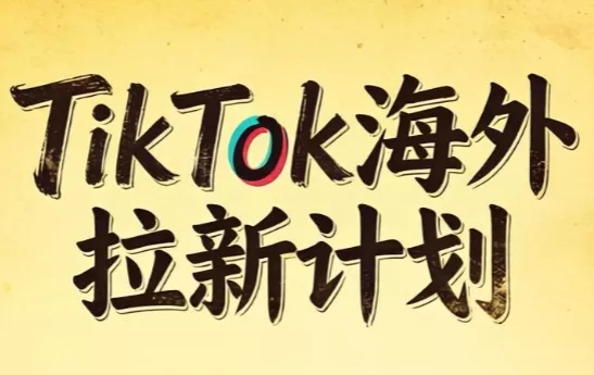 Tc联盟·TikTok海外拉新项目(更新9月)-羽哥创业课堂