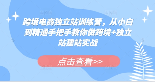 跨境电商独立站训练营，从小白到精通手把手教你做跨境+独立站建站实战-羽哥创业课堂