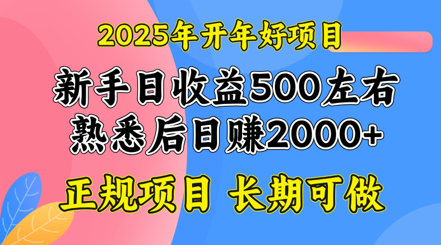 2025开年好项目，单号日收益2000左右-羽哥创业课堂