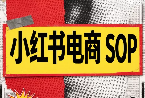 书豪必胜小红书电商sop(更新9月)-羽哥创业课堂