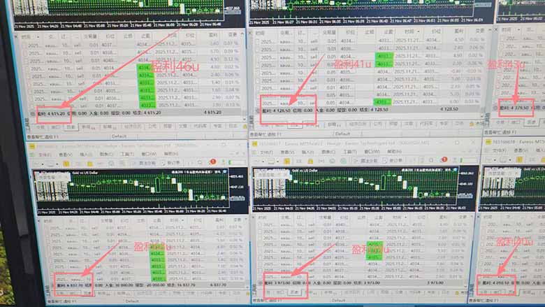 2025超前美金自动量化!单人单日收益1000+,线下学习,支持实地考察-羽哥创业课堂