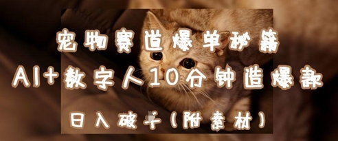 宠物赛道爆单秘籍：AI+数字人10分钟造爆款，日入1k-羽哥创业课堂