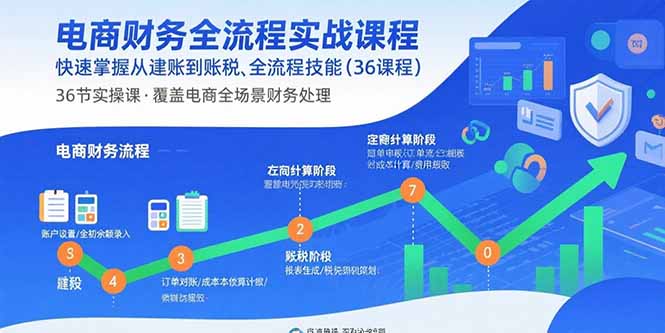 电商财务全流程实战课程：快速掌握从建账到报税的全流程技能(36节课-羽哥创业课堂