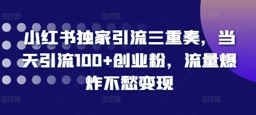 小红书独家引流三重奏，当天引流100+创业粉，流量爆炸不愁变现【揭秘】-羽哥创业课堂