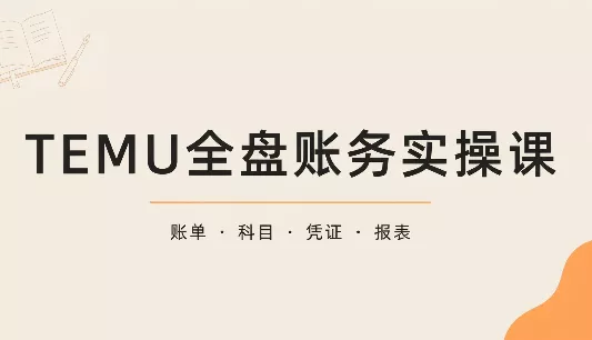 TEMU全盘账务实操课:账单导出、科目设置、利润核算-羽哥创业课堂