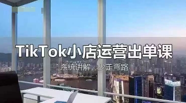 TikTok小店运营出单课，从开店选品、运营出单、发货回款，进行全流程讲解-羽哥创业课堂