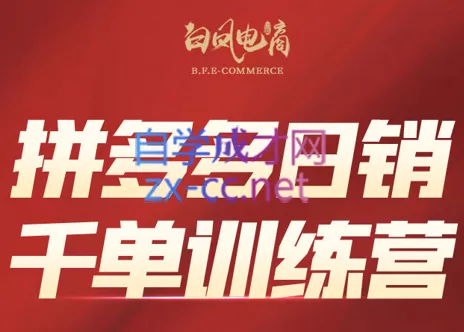 白凤电商·拼多多日销千单训练营(更新9月)-羽哥创业课堂
