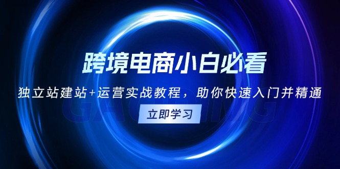 跨境电商小白必看！独立站建站+运营实战教程，助你快速入门并精通-羽哥创业课堂