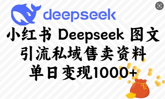 小红书Deepseek图文引流私域售卖资料，单日变现多张-羽哥创业课堂