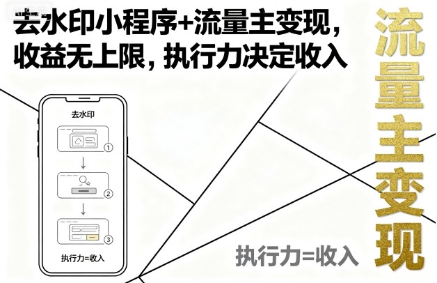 去水印小程序+流量主变现，收益无上限，执行力决定收入-羽哥创业课堂