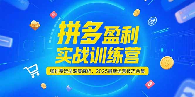 拼多多盈利实战训练营，强付费玩法深度解析，2025运营技巧合集-更新6月-羽哥创业课堂